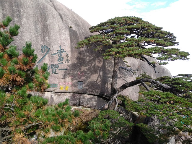日登黃山，夜醉溫泉！